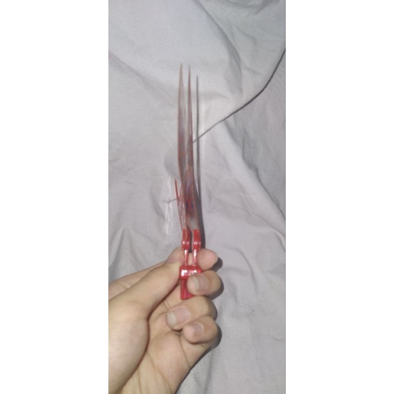 Winx Club - Búp Bê Transfor