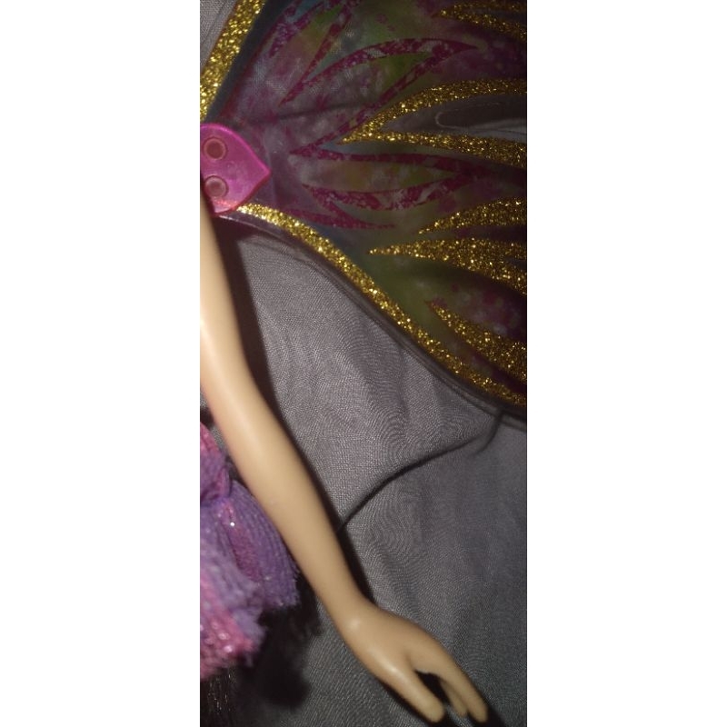 Winx Club - Búp Bê Transfor