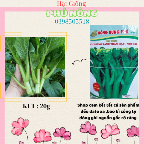 Hạt giống cải ngồng xanh thân mập Nông Hưng Phú 20gr