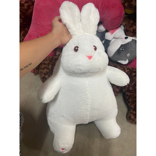 Gấu bông thỏ trắng xinh xắn dễ thương thú nhồi bông cute