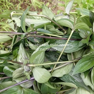 Dây dạ cẩm  khô thượng hạng