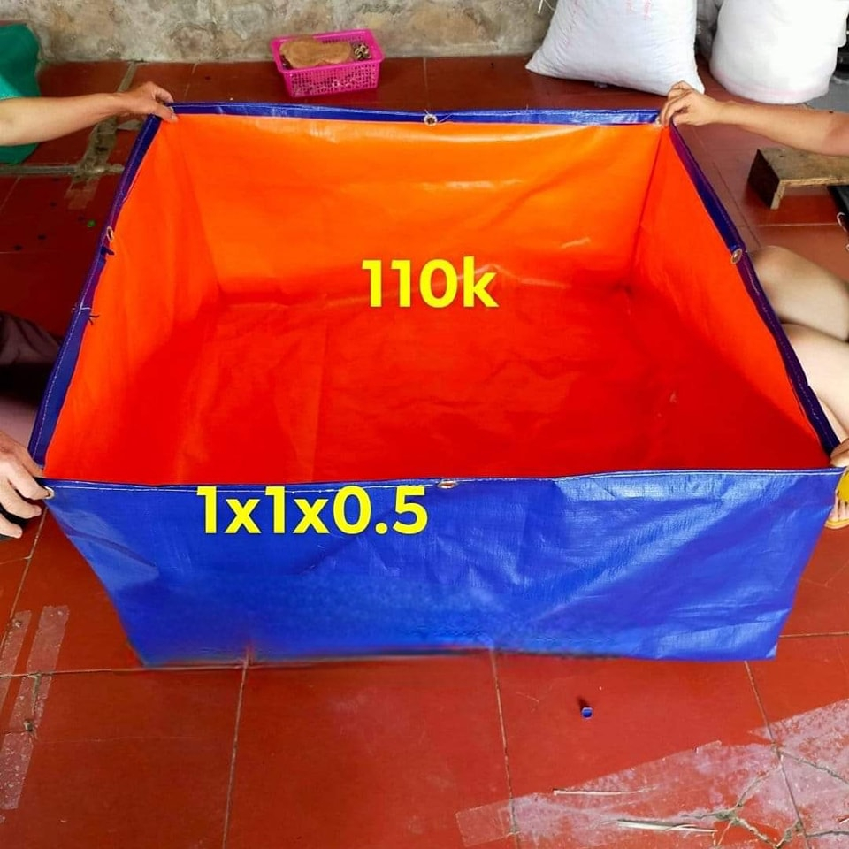 CHÁNG BỂ BẠT Nuôi Ốc, Lươn, Cá Giống