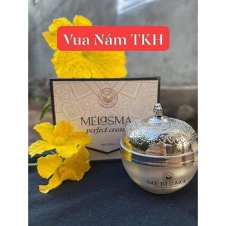 Vua nám trần kim huyền