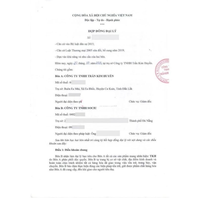 Vua nám trần kim huyền