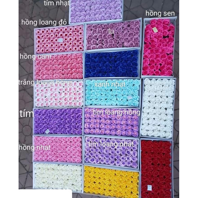 Hoa sáp đủ mầu hộp 50b