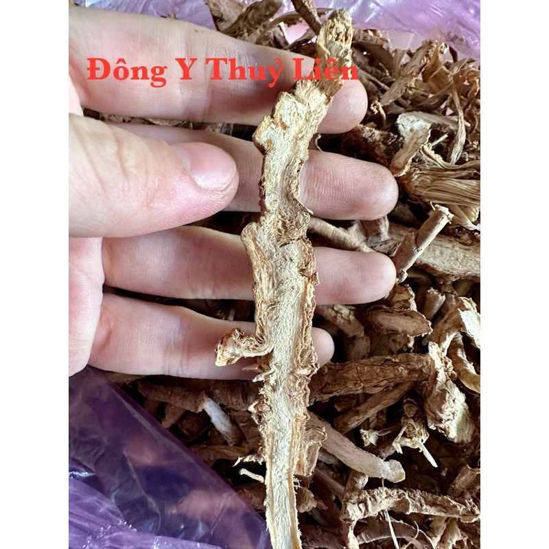 PHÒNG PHONG Loại 1