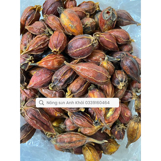 Quả dành dành( chi tử) 1kg hàng khô đẹp đỏ