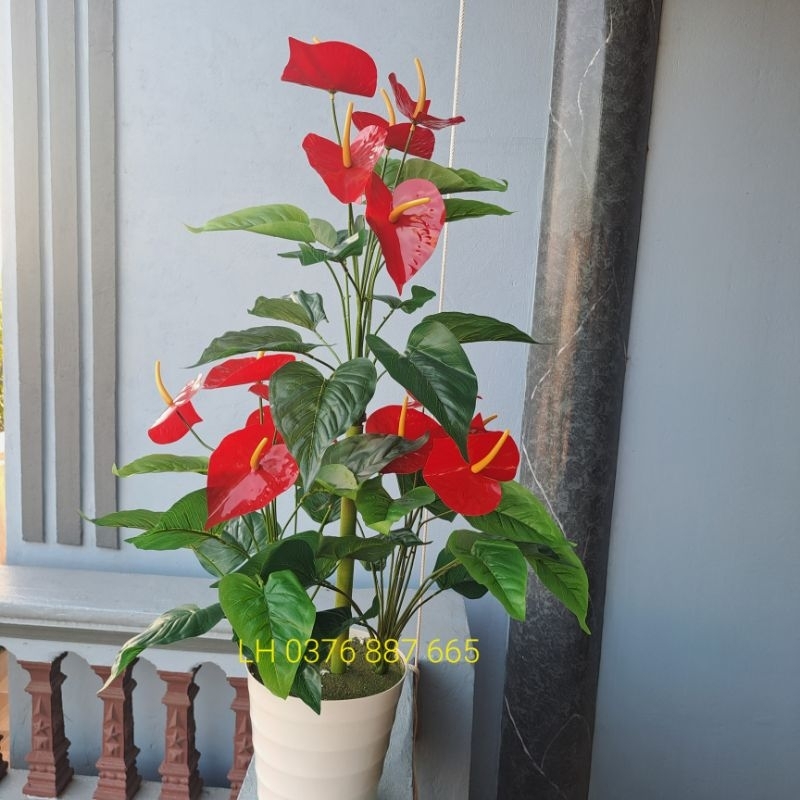 - Cây giả, Cây hồng môn yến vao 1M, Mẫu cây mới decor siêu xinh8