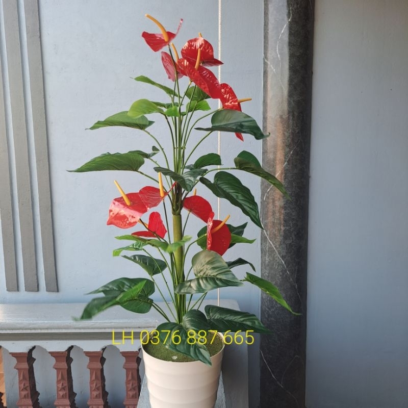 - Cây giả, Cây hồng môn yến vao 1M, Mẫu cây mới decor siêu xinh8