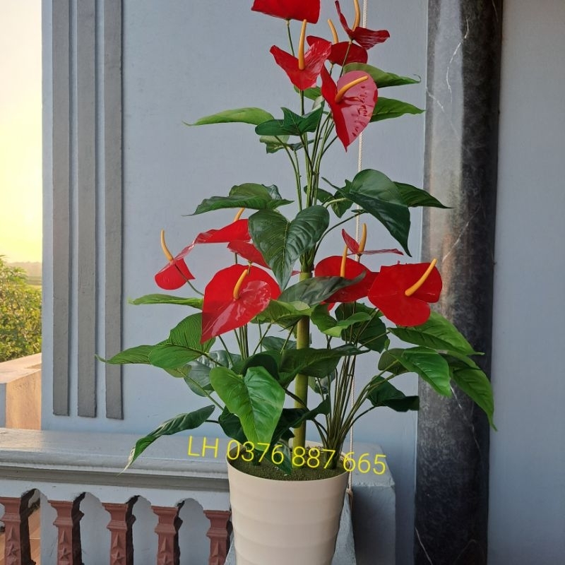 - Cây giả, Cây hồng môn yến vao 1M, Mẫu cây mới decor siêu xinh8