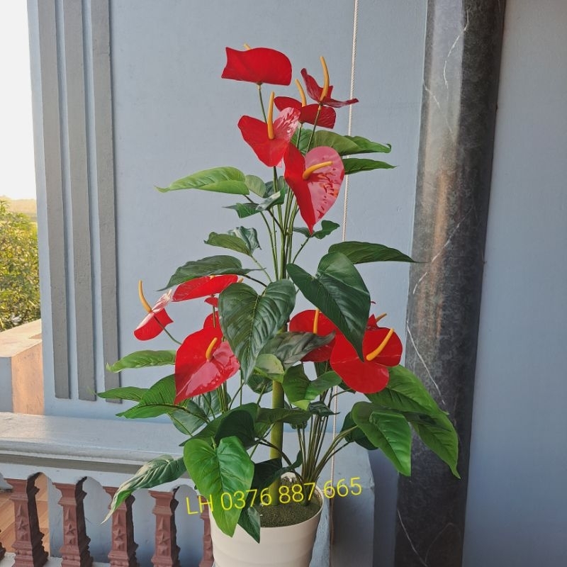 - Cây giả, Cây hồng môn yến vao 1M, Mẫu cây mới decor siêu xinh8