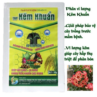 Phân Vi Lượng Kẽm Khuẩn Tác Động Kép Phòng Vi Khuẩn Nấm Bệnh và Rễ Hấp Thụ Tối Đa Dinh Dưỡng