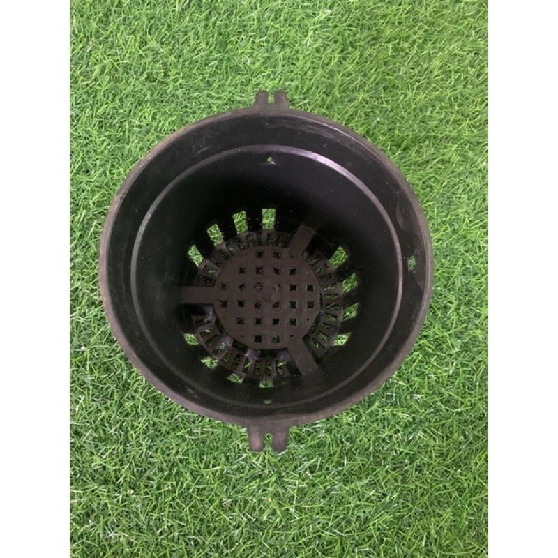Combo 20 Chậu nhựa trồng lan phi 18 ít lỗ