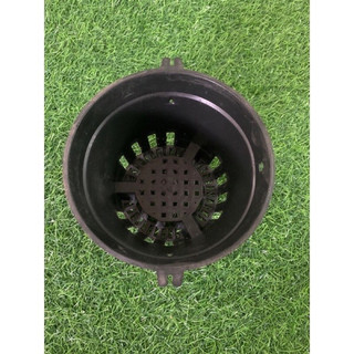 Combo 20 Chậu nhựa trồng lan phi 18 ít lỗ