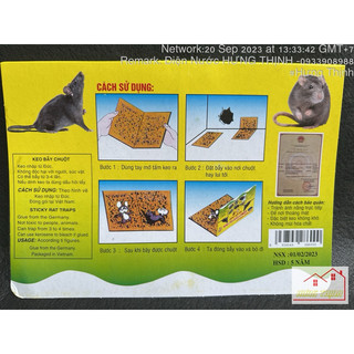 Đập Chuột - Keo Bẩy Chuột