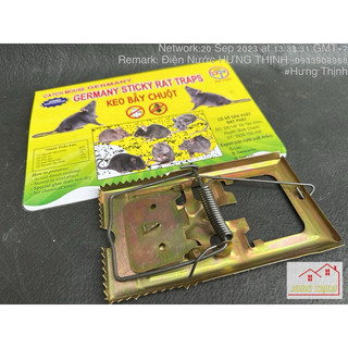 Đập chuột - keo bẩy chuột