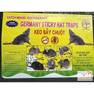 Đập Chuột - Keo Bẩy Chuột
