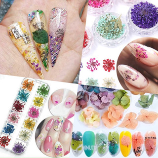 Hoa khô ẩn gel trang trí móng siêu đẹp đủ mẫu