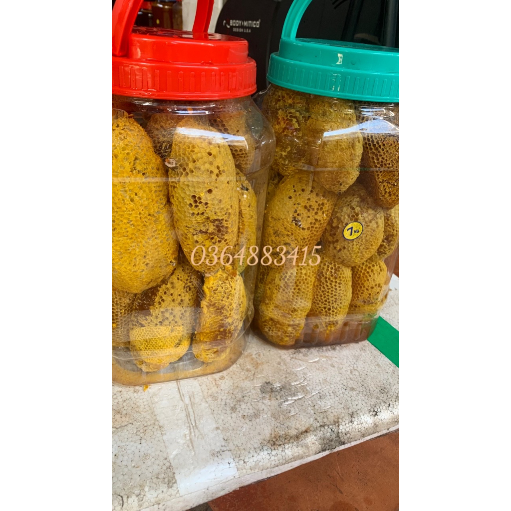 Mật ong ruồi nguyên tổ