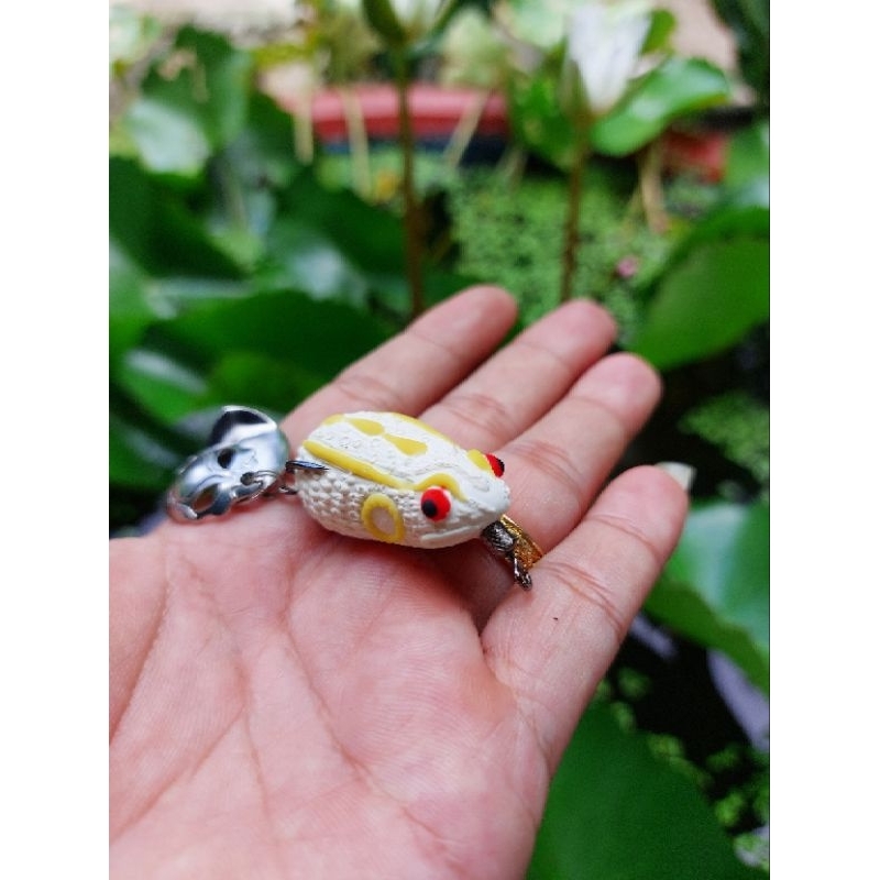 Nhái hơi Tomen size 3,5cm Lưỡi BKK 2 thìa