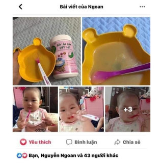 Bột ăn dặm Việt Lộc [ dành cho bé 4m-11m sd ]