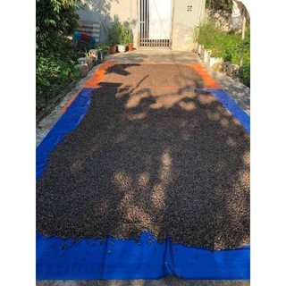 Sim rừng khô ngâm rượi