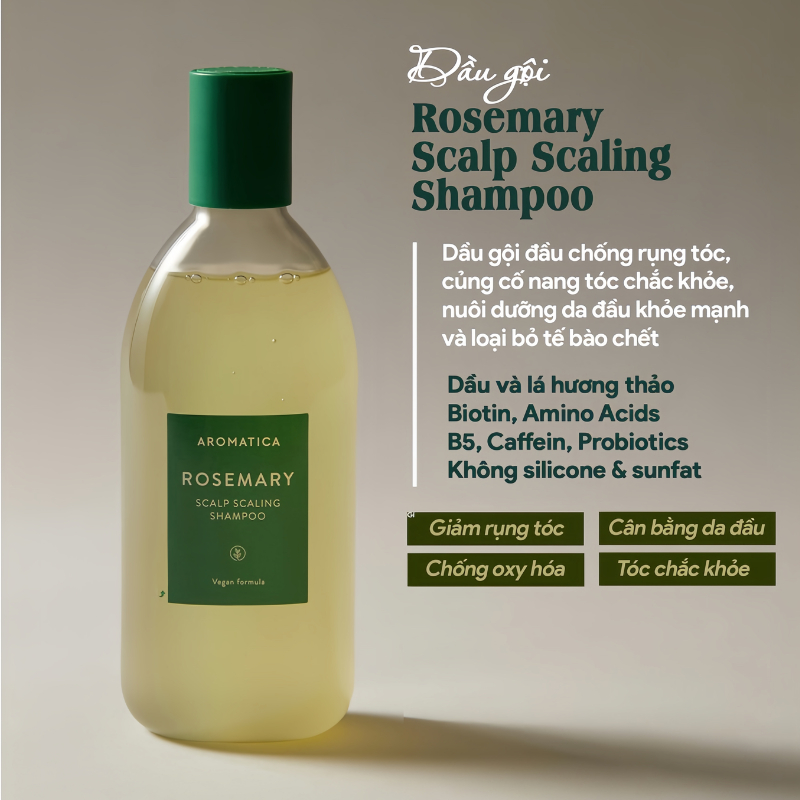 Dầu Gội/ Dầu Xả Hương Thảo Ngăn Rụng Tóc Aromatica Rosemary Scalp Scaling Shampoo