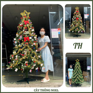 Cây thông noel 1M5, 1M8, 2m trang trí giáng sinh