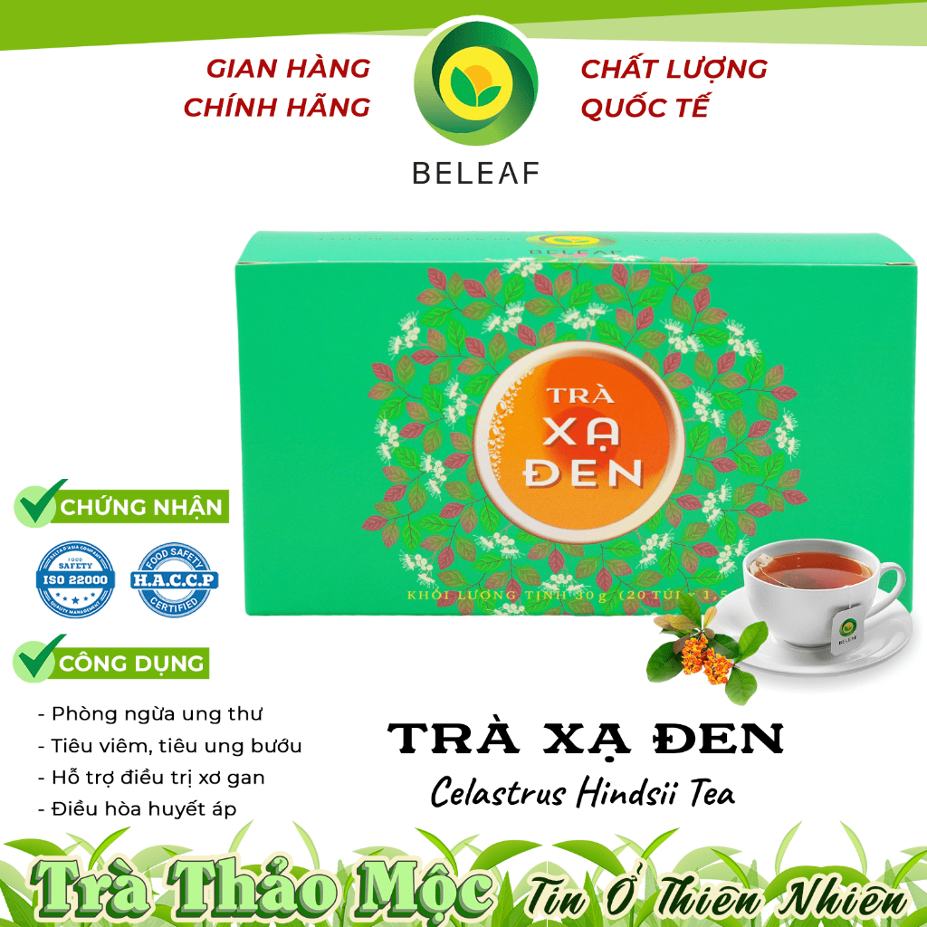 Trà Xạ Đen - Celastrus Hindsii Tea - Trà Thảo Mộc Beleaf hỗ trợ ngăn ngừa ung thư ác tính
