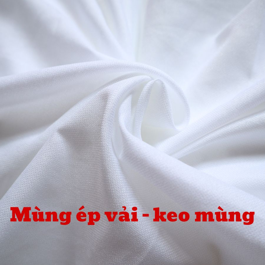 Mùng ép vải trắng_keo mùng