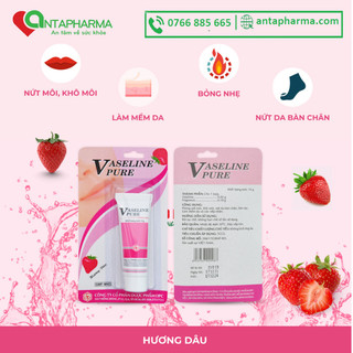 Vaseline dưỡng thể, dưỡng môi, Vaseline Pure – OPC