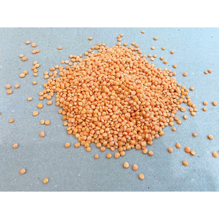 Đậu lăng đỏ thơm ngon gói 500g-1kg ( Hút chân không)