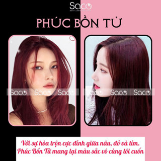 SACO Dầu gội LƯỢC nhuộm tóc PHỦ BẠC CHÍNH HÃNG lên màu CHUẨN ĐẸP từ mọi nền tóc SACO PHÚC BỒN TỬ 