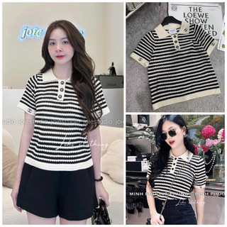 Áo polo nữ cộc tay cha neo kẻ ngang hàng Qc
