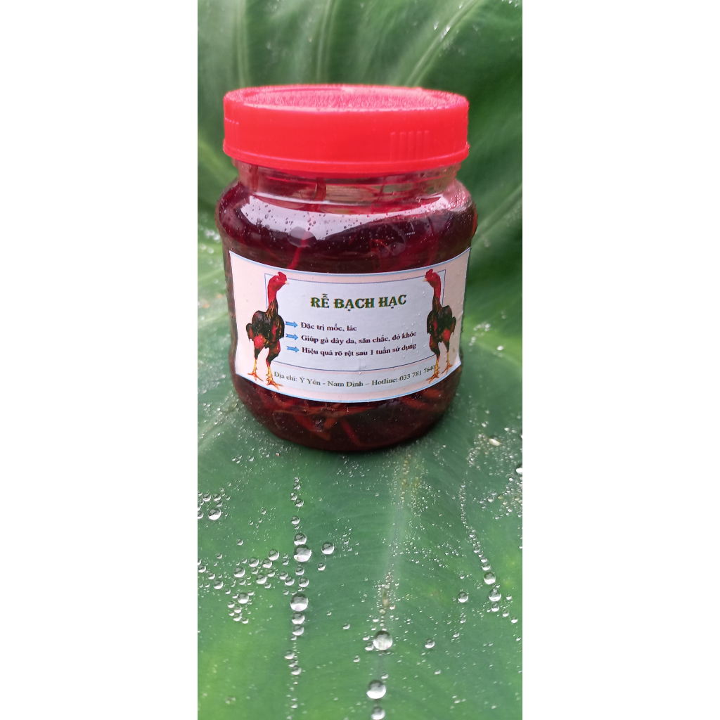 Rễ Bạch Hạc Đặc Trị Mốc Lác ( Hộp 100- 500ml )