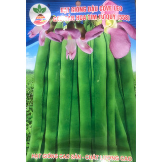 ✅ Hạt đậu Cove leo ☘️ 50 gr/ gói