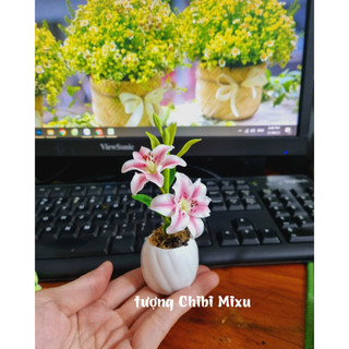 Chậu hoa Ly bằng đất sét Nhật cao cấp