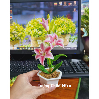 Chậu hoa Ly bằng đất sét Nhật cao cấp