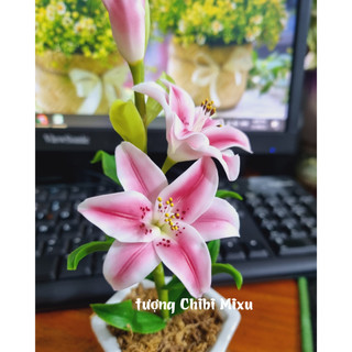 Chậu hoa Ly bằng đất sét Nhật cao cấp