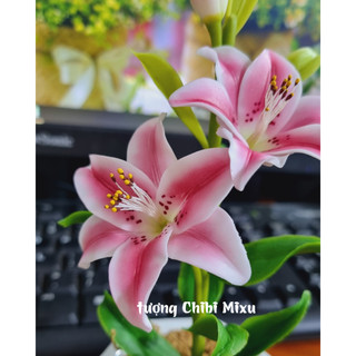 Chậu hoa Ly bằng đất sét Nhật cao cấp