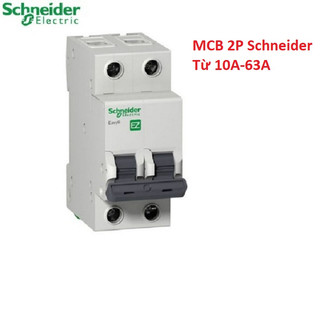 Cầu dao điện, mcb aptomat 2 pha schneider các loại 10a, 16a, 20a, 25a, 32a, 40a, 50a, 63a