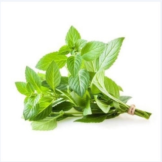 [Chỉ Giao HCM] Húng Cây 100gr & 500gr