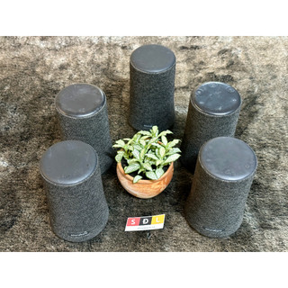 Loa bluetooth có đèn Anker SoundCore Flare mini A3167