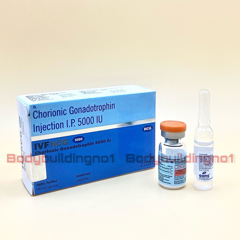 HCG 5000iu  - Chorionic Gonadotropin