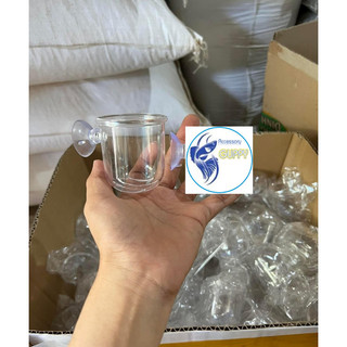 Cốc mica đựng trùn chỉ, trồng cây thủy sinh
