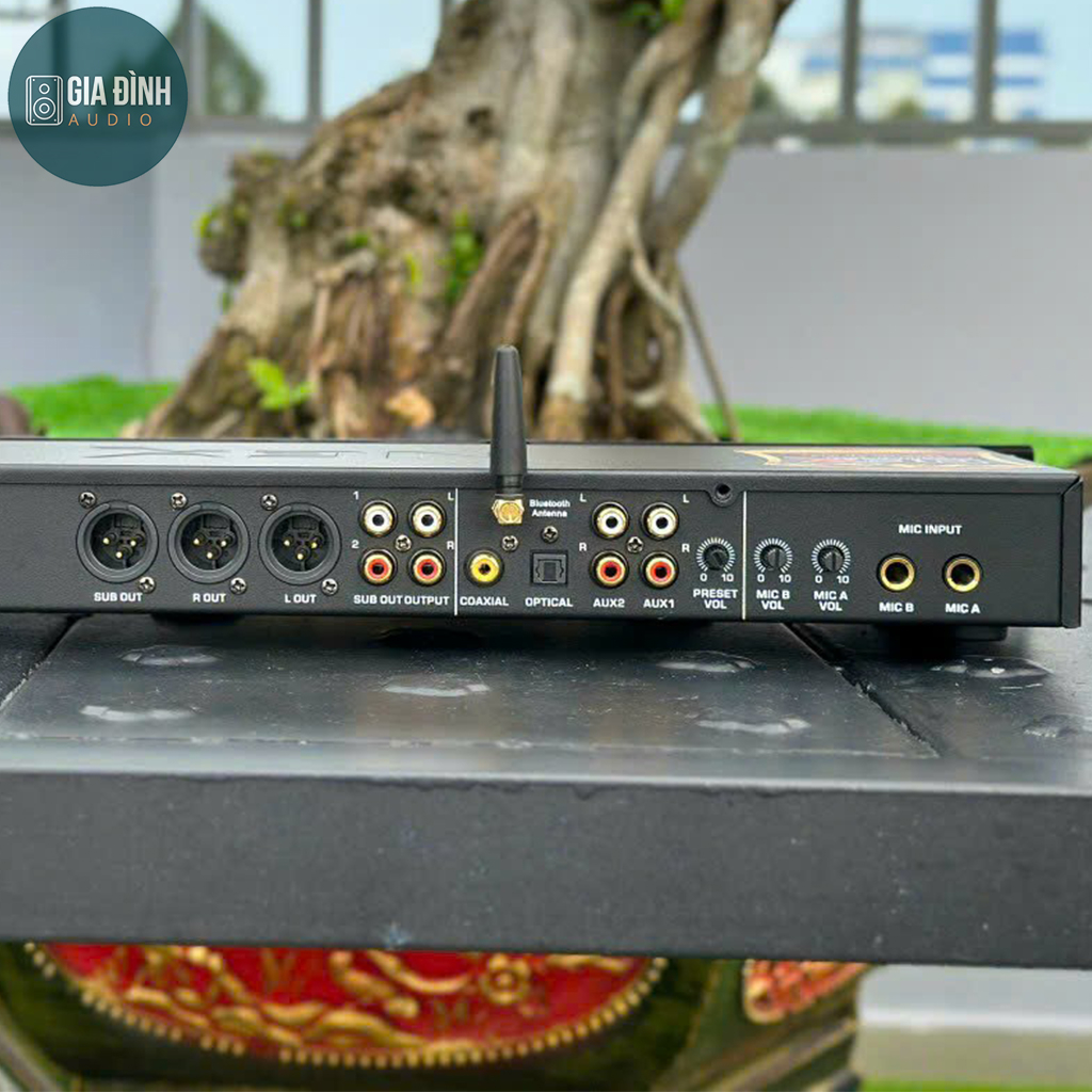 Vang cơ lai số Nex P12 Plus có echo và reverb mượt mà - Nhập Khẩu