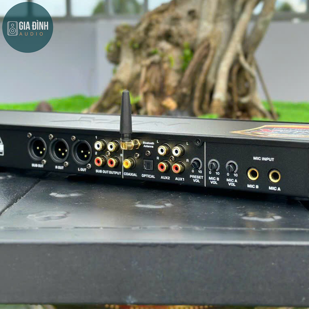 Vang cơ lai số Nex P12 Plus có echo và reverb mượt mà - Nhập Khẩu