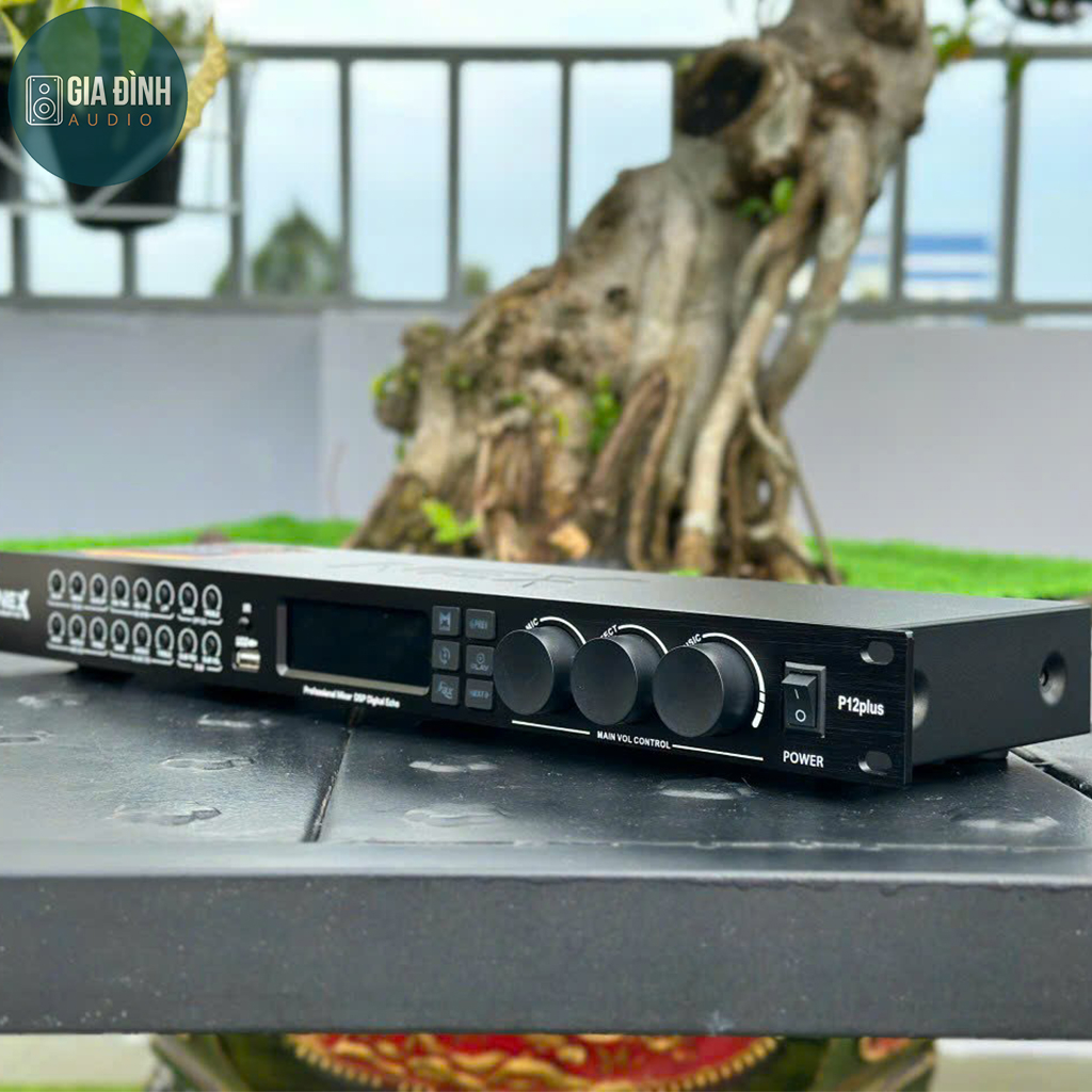 Vang cơ lai số Nex P12 Plus có echo và reverb mượt mà - Nhập Khẩu