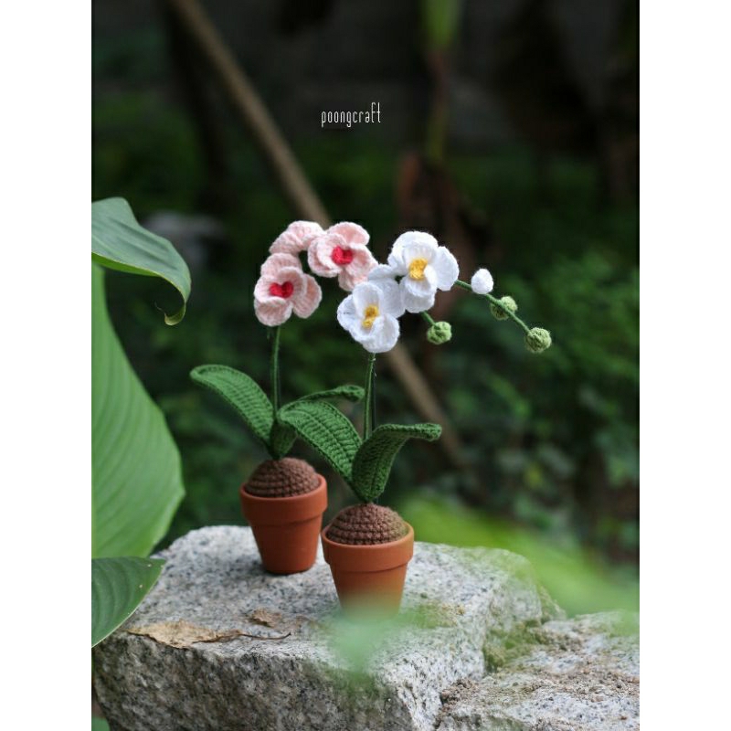 Plants by inspired natural • handmade