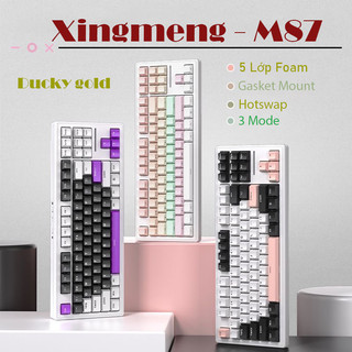 Bàn phím cơ xingmeng - m87 3 mode / led rgb / hotswap / led viền bàn phím cơ tkl tùy chỉnh